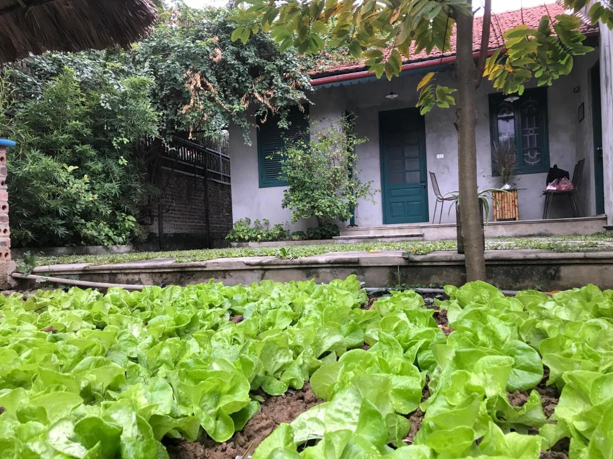 Tam Coc Eco House Apartment Ninh Binh Luaran gambar