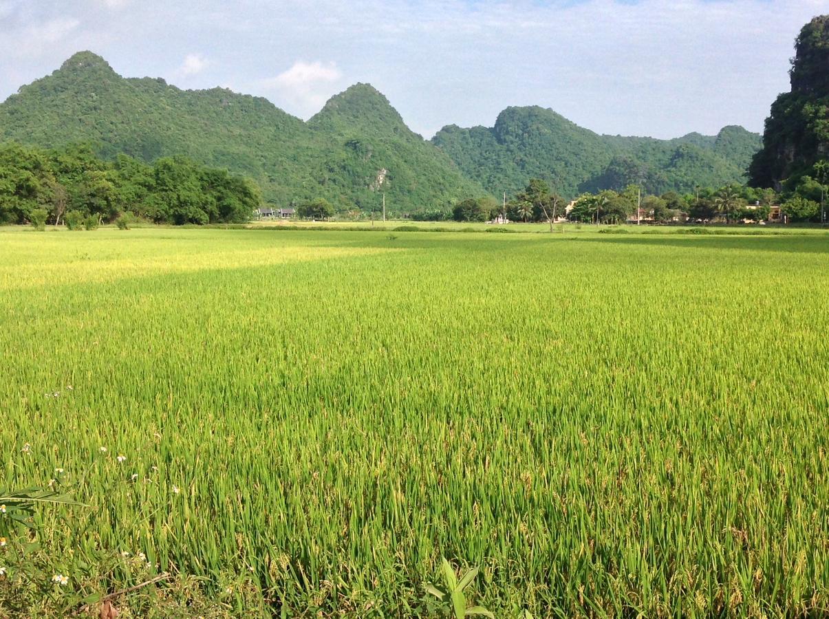 Tam Coc Eco House Apartment Ninh Binh Luaran gambar