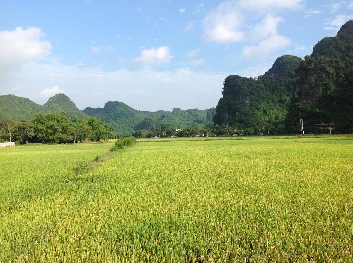 Tam Coc Eco House Apartment Ninh Binh Luaran gambar