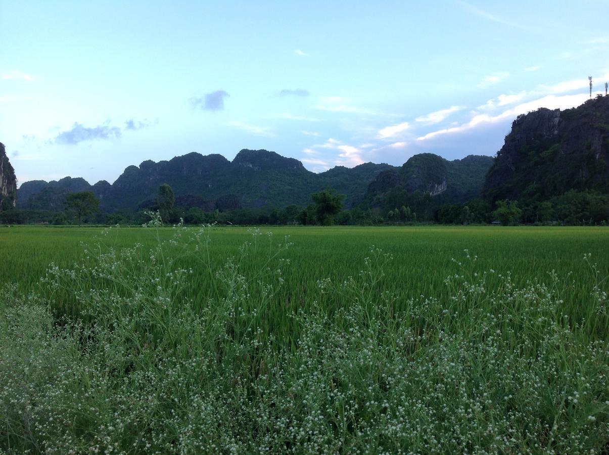 Tam Coc Eco House Apartment Ninh Binh Luaran gambar